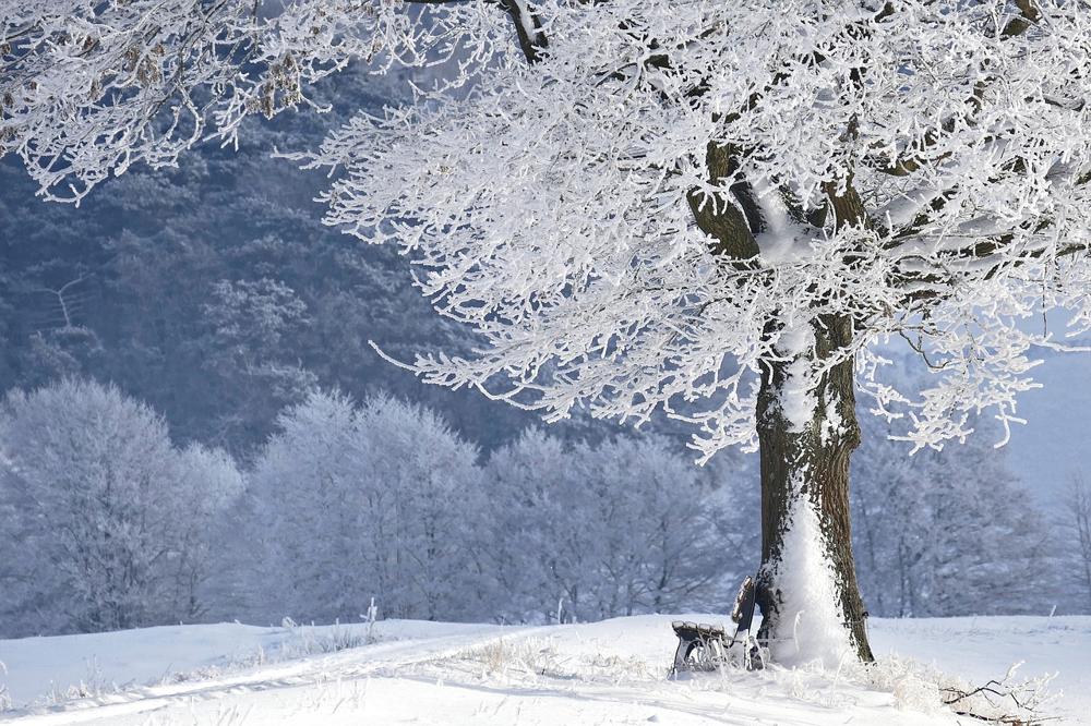 winter activities