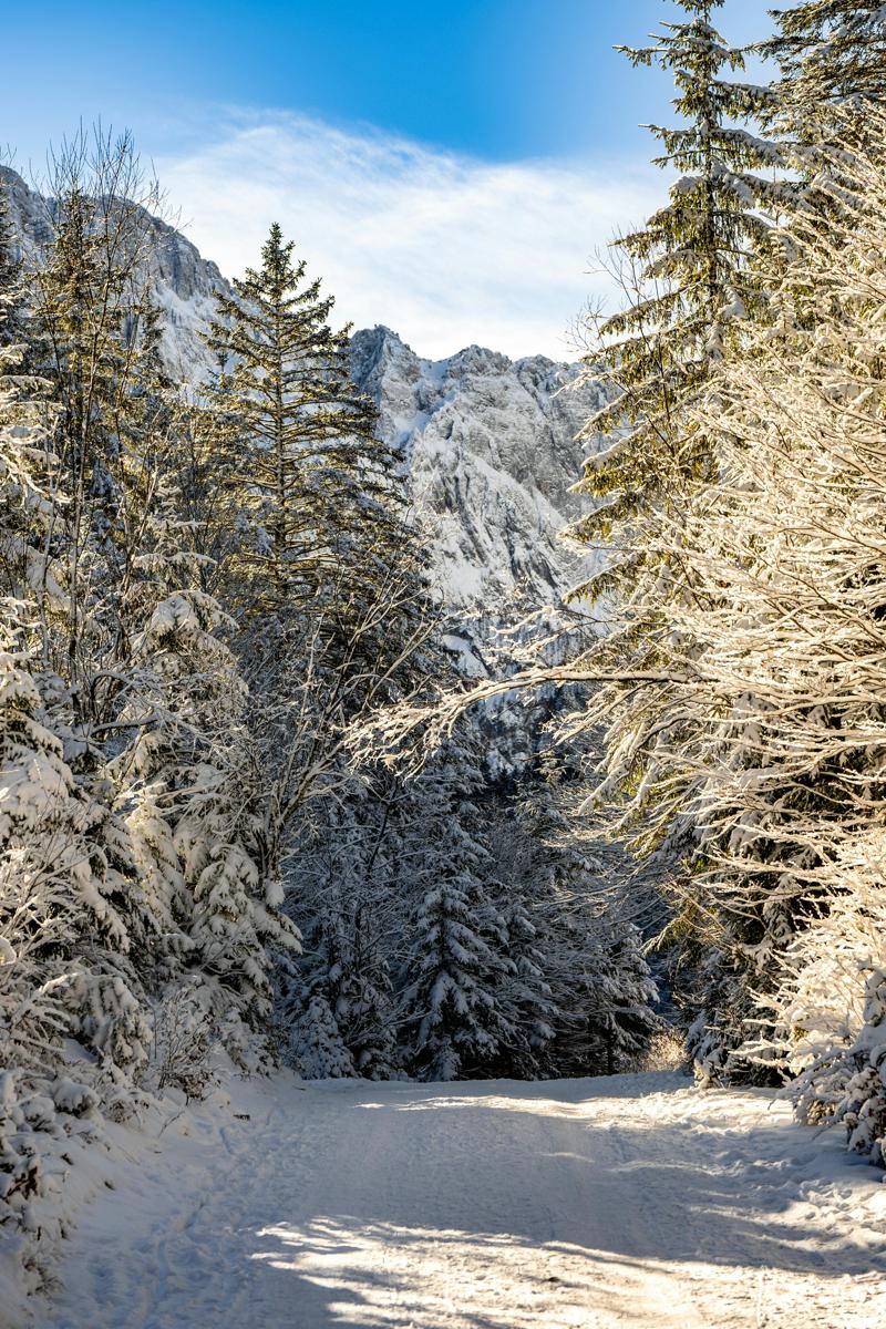 winter activities